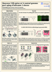 thumbnail of BOLTE_HARDIN_Poster ESWI