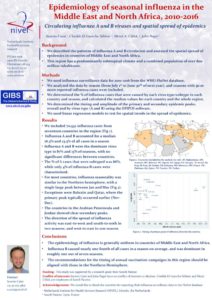 thumbnail of Caini et al_MENA_new