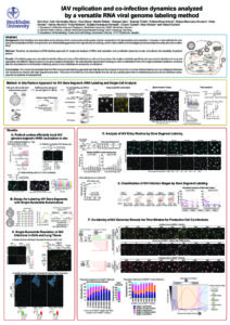thumbnail of Daniels poster ESWI influenza 2017-compressed