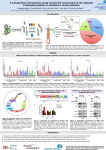 thumbnail of ESWI_Poster_MarwahKarim