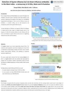 thumbnail of PBolfa ESWI 2017