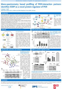 thumbnail of Sandra Saenger_ESWI 2017