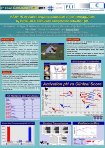 thumbnail of Stech Poster ESWI Riga 2017