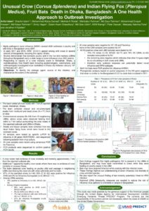 thumbnail of crow bat death in dhaka_SI_7.9.17-1