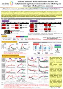 thumbnail of poster ESWI