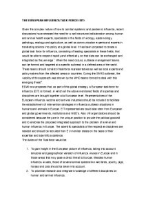 thumbnail of towards-a-european-influenza-task-force