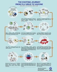 thumbnail of strain selection